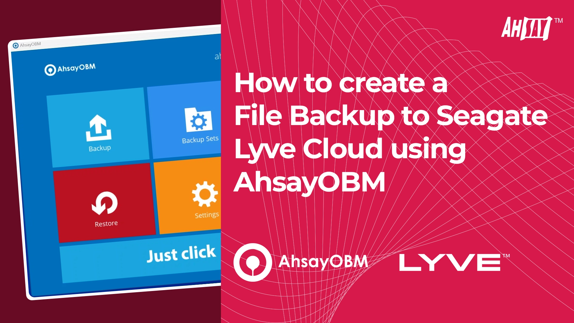 How to create a file backup to Seagate Lyve cloud using AhsayOBM? 