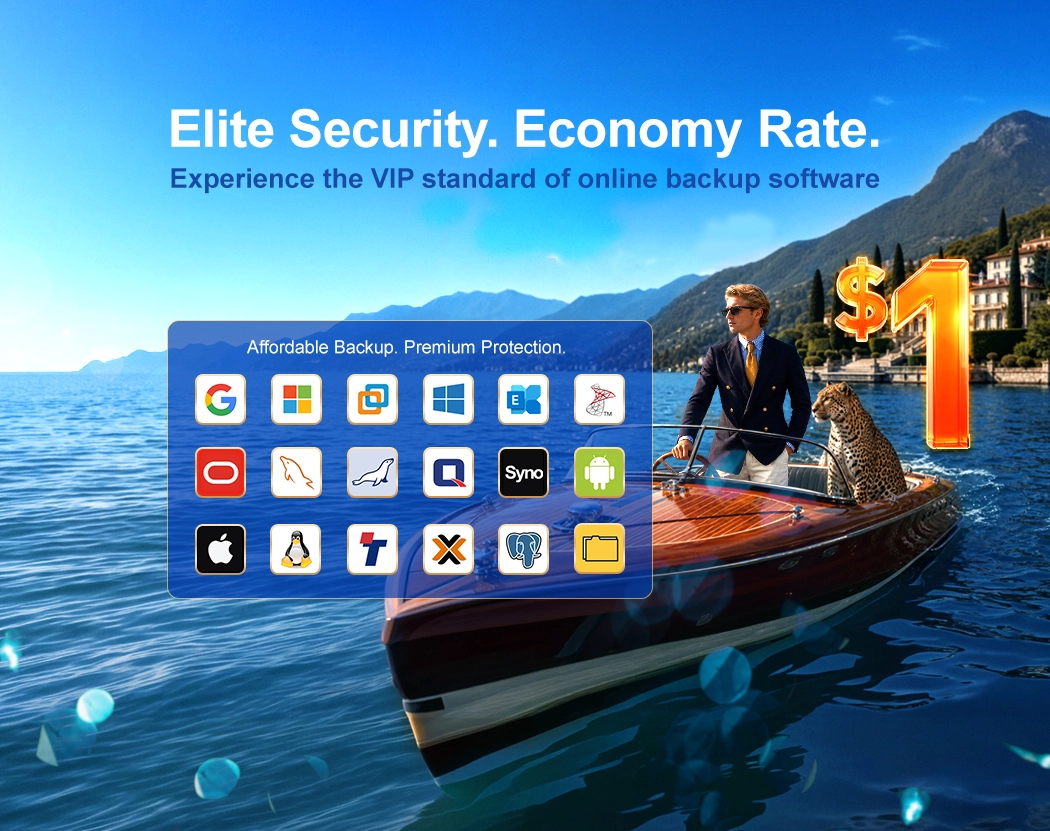 Using Ahsay's $1 online software backup is like enjoying an elite life at an affordable price with all-platform protection.