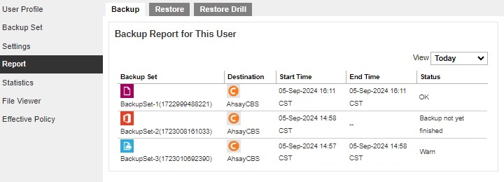 Backup Report