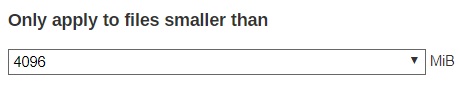 File size option