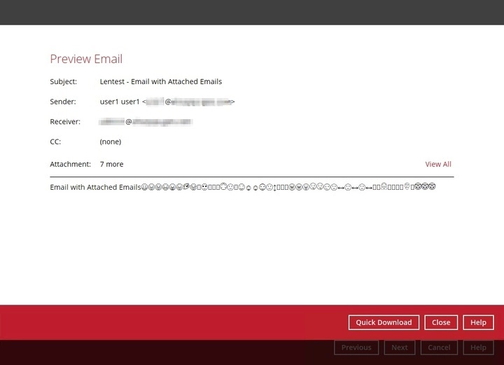 Preview Email