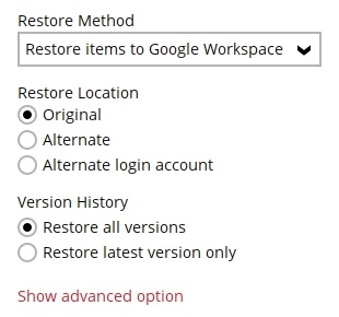 Version History
