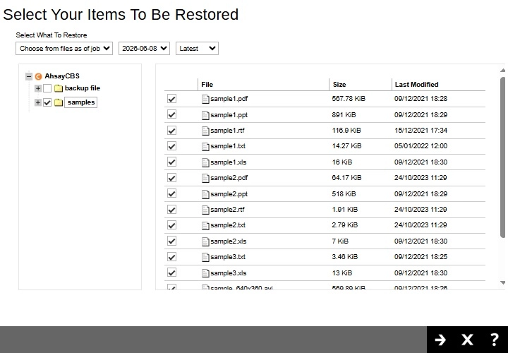 Select Items To Restore