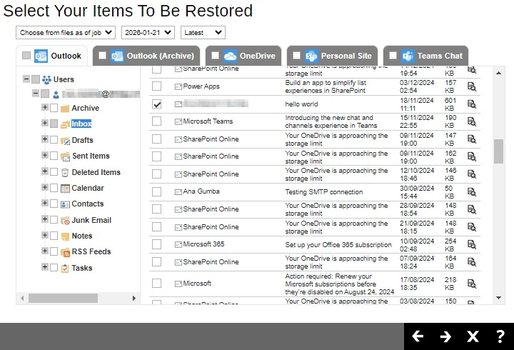 Select Items To Restore