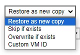 Restore Options