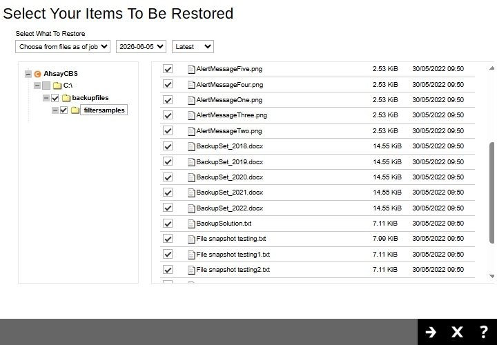 Select Items To Restore