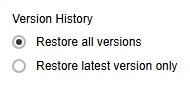 Version History