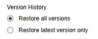 Version History