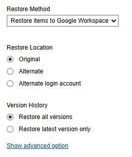 Version History