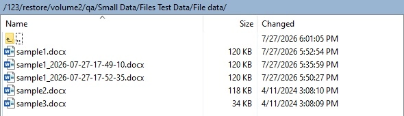 List of files