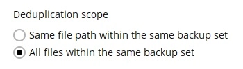 Deduplication Scope